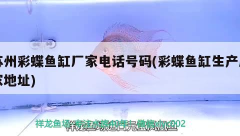 龍魚一頓喂多少飼料（龍魚喂食量與喂食頻率） 觀賞魚飼料 第1張