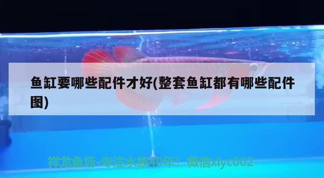 魚缸要哪些配件才好(整套魚缸都有哪些配件圖) 黃金貓魚百科