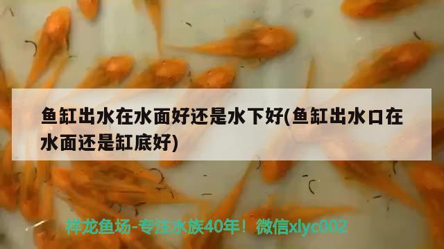 魚缸出水在水面好還是水下好(魚缸出水口在水面還是缸底好)