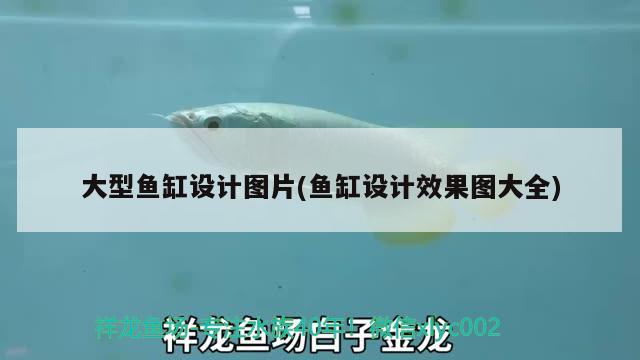 大型魚缸設計圖片(魚缸設計效果圖大全)