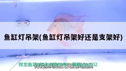 魚(yú)缸燈吊架(魚(yú)缸燈吊架好還是支架好)