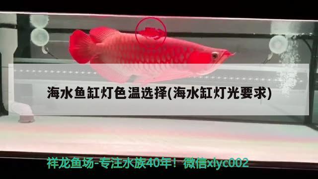 海水魚缸燈色溫選擇(海水缸燈光要求) 海水魚