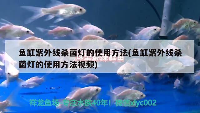 宜賓魚缸制作廠家地址  錦鯉池魚池建設(shè) 第3張