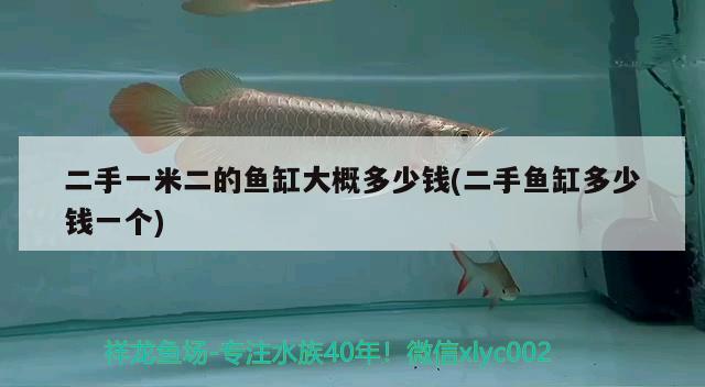 二手一米二的魚(yú)缸大概多少錢(qián)(二手魚(yú)缸多少錢(qián)一個(gè))