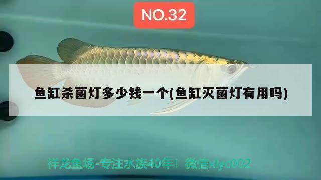 魚(yú)缸殺菌燈多少錢(qián)一個(gè)(魚(yú)缸滅菌燈有用嗎)