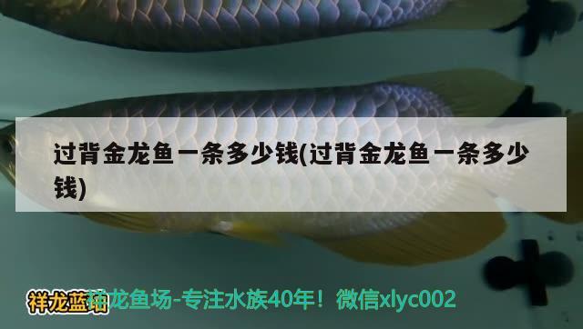 庭院魚(yú)缸風(fēng)水庭院魚(yú)缸風(fēng)水位置示意圖，庭院魚(yú)缸風(fēng)水位置示意圖