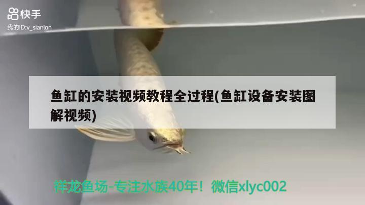 魚缸的安裝視頻教程全過程(魚缸設備安裝圖解視頻)