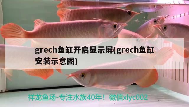 grech魚缸開啟顯示屏(grech魚缸安裝示意圖) 皇冠黑白魟魚