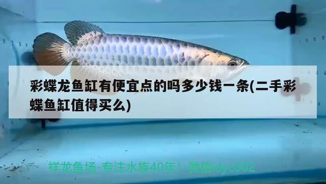 彩蝶龍魚缸有便宜點的嗎多少錢一條(二手彩蝶魚缸值得買么) 祥龍水族濾材/器材