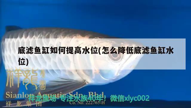 底濾魚缸如何提高水位(怎么降低底濾魚缸水位)