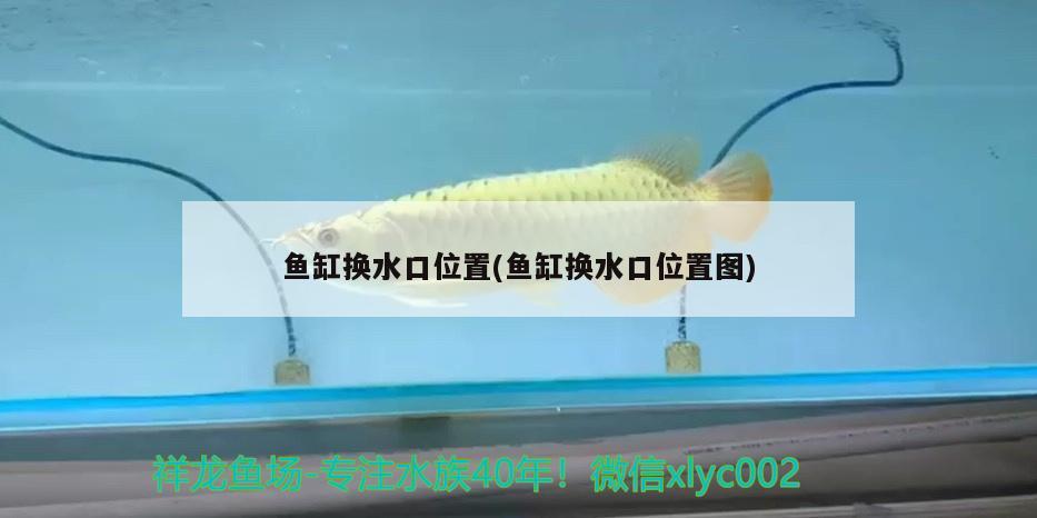 魚缸換水口位置(魚缸換水口位置圖) 豹紋夫魚苗