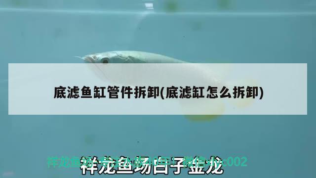 底濾魚缸管件拆卸(底濾缸怎么拆卸)