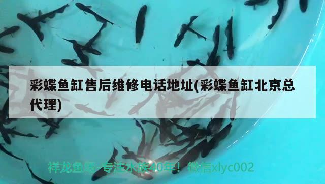 魚(yú)缸拆裝及搬家注意事項(xiàng)圖片（魚(yú)缸拆卸視頻教程） 生態(tài)瓶/創(chuàng)意缸/桌面微景缸 第1張