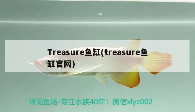 Treasure魚缸(treasure魚缸官網(wǎng)) 金龍福龍魚