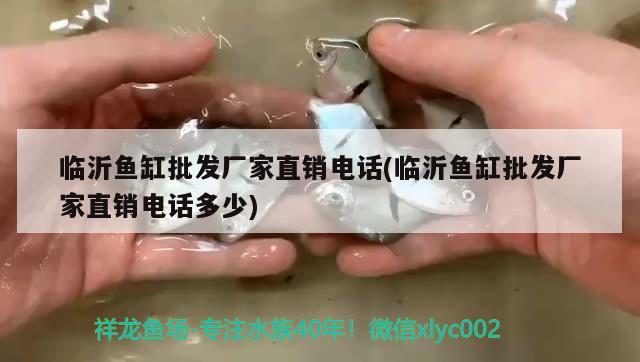 銀龍魚能在魚缸繁殖嗎：銀龍魚可以放魚塘嗎 銀龍魚 第1張