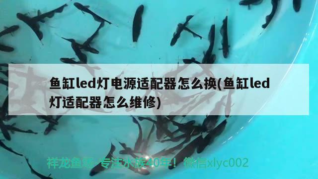 魚缸led燈電源適配器怎么換(魚缸led燈適配器怎么維修)