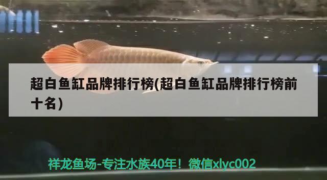 超白魚缸品牌排行榜(超白魚缸品牌排行榜前十名)