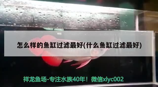 怎么樣的魚缸過濾最好(什么魚缸過濾最好) 魚缸水質穩(wěn)定劑