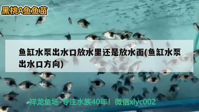 魚缸水泵出水口放水里還是放水面(魚缸水泵出水口方向)