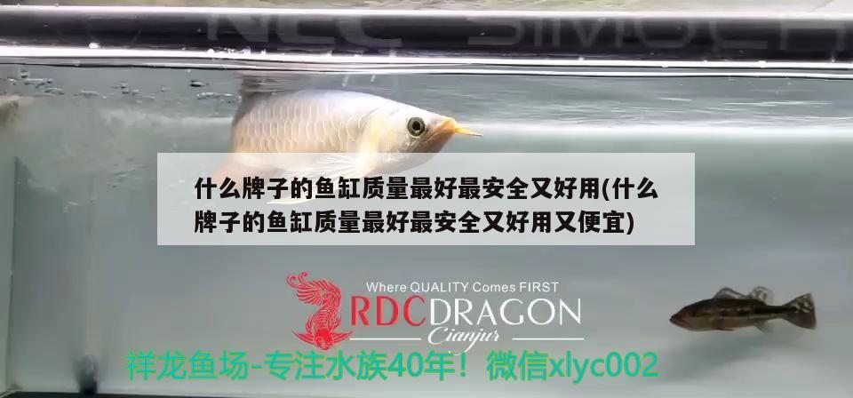 微小魚缸造景效果圖大全圖片（微型小魚缸適合養(yǎng)什么魚）