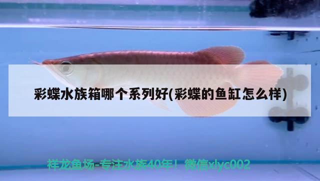 彩蝶水族箱哪個系列好(彩蝶的魚缸怎么樣) 魚缸/水族箱