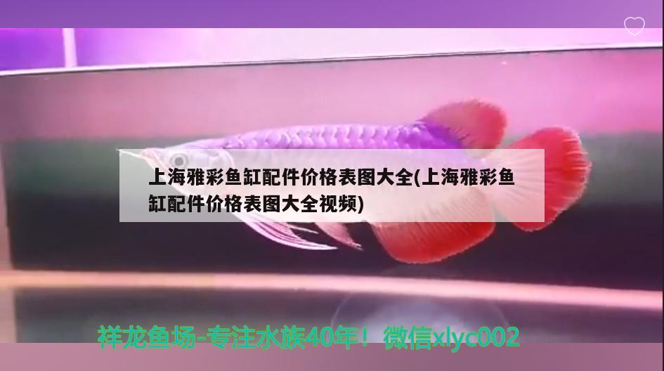 上海雅彩魚缸配件價格表圖大全(上海雅彩魚缸配件價格表圖大全視頻) 白條過背金龍魚