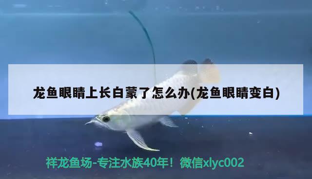 松原58同城二手魚缸轉(zhuǎn)讓信息 買了一輛掛車，廠家沒按我的尺寸制作，該怎么維權(quán)