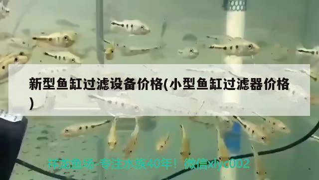 魚缸過濾盒溢流怎么辦啊視頻(魚缸過濾盒溢流怎么辦啊視頻教程) 蝴蝶鯉魚苗