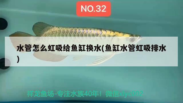 水管怎么虹吸給魚缸換水(魚缸水管虹吸排水) 黃金招財貓魚