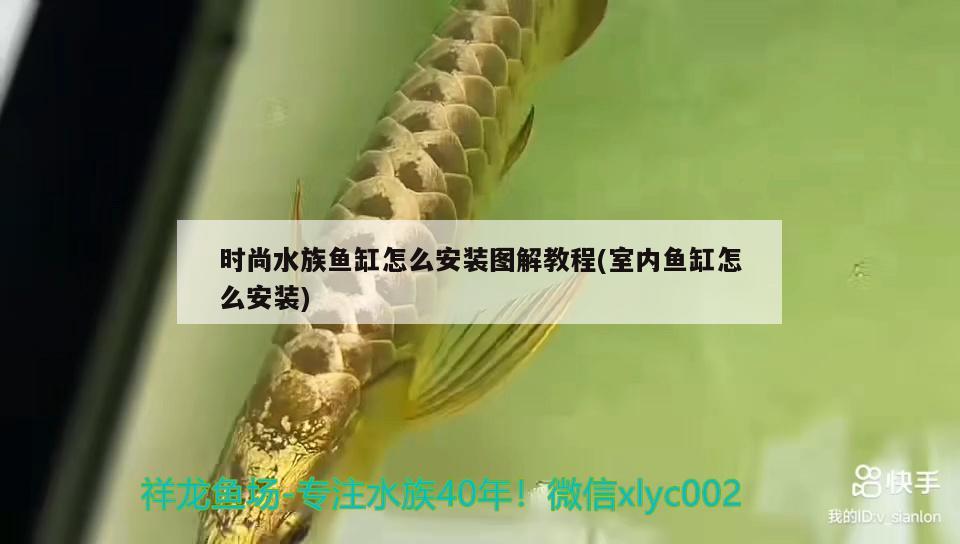 時尚水族魚缸怎么安裝圖解教程(室內魚缸怎么安裝)