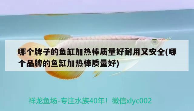 哪個(gè)牌子的魚(yú)缸加熱棒質(zhì)量好耐用又安全(哪個(gè)品牌的魚(yú)缸加熱棒質(zhì)量好) 觀賞龜/鱉飼料