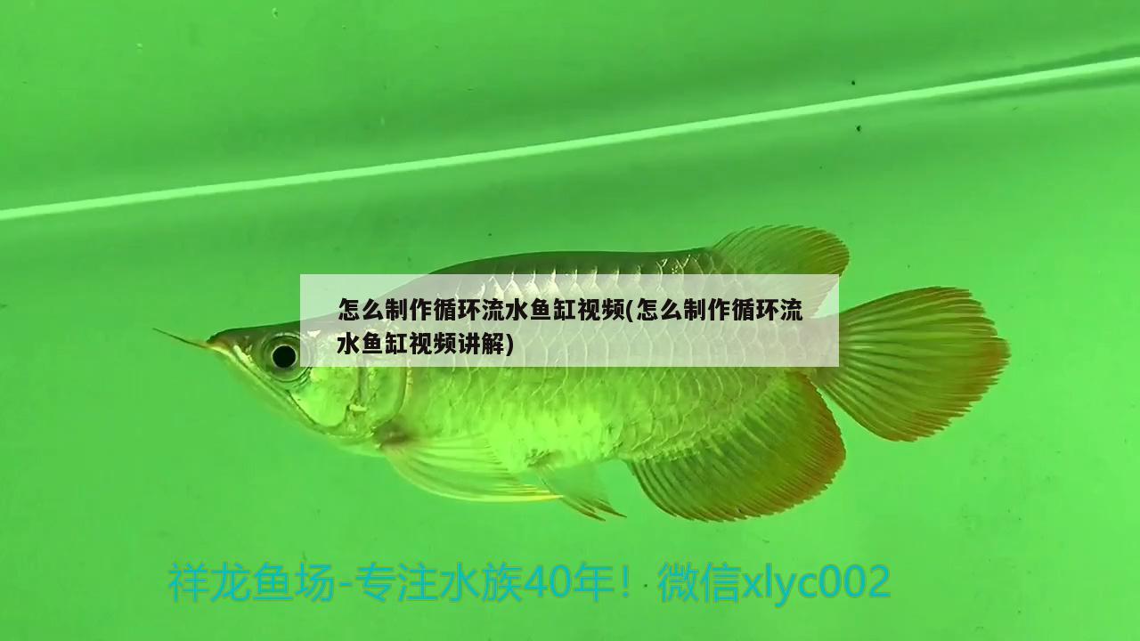 鄭州做魚缸定制加工廠家地址電話 鄭州做魚缸定制加工廠家地址電話多少