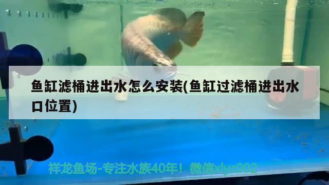 魚缸濾桶進出水怎么安裝(魚缸過濾桶進出水口位置)