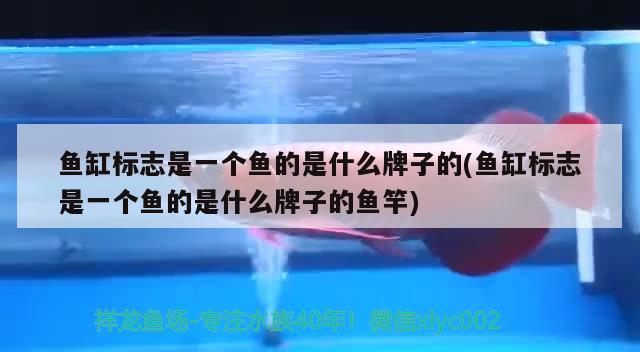 魚缸標志是一個魚的是什么牌子的(魚缸標志是一個魚的是什么牌子的魚竿) 垂釣樂園