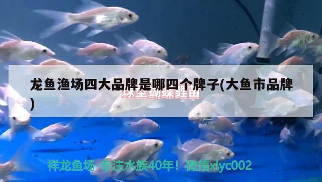 龍魚漁場(chǎng)四大品牌是哪四個(gè)牌子(大魚市品牌)