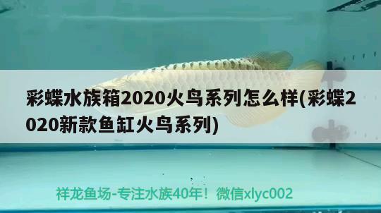 彩蝶水族箱2020火鳥系列怎么樣(彩蝶2020新款魚缸火鳥系列)