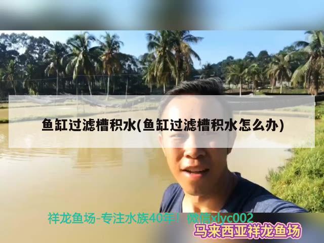 魚缸過濾槽積水(魚缸過濾槽積水怎么辦)