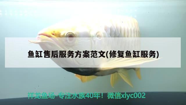 昆明二手魚(yú)缸交易市場(chǎng)在哪里啊電話（昆明市魚(yú)缸魚(yú)批發(fā)市場(chǎng)在哪里） yee