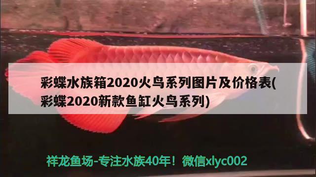 彩蝶水族箱2020火鳥系列圖片及價格表(彩蝶2020新款魚缸火鳥系列) 魚缸/水族箱