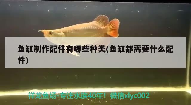 魚缸制作配件有哪些種類(魚缸都需要什么配件)