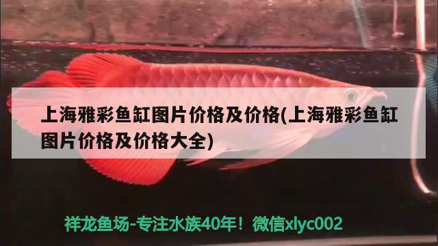 上海雅彩魚缸圖片價(jià)格及價(jià)格(上海雅彩魚缸圖片價(jià)格及價(jià)格大全)