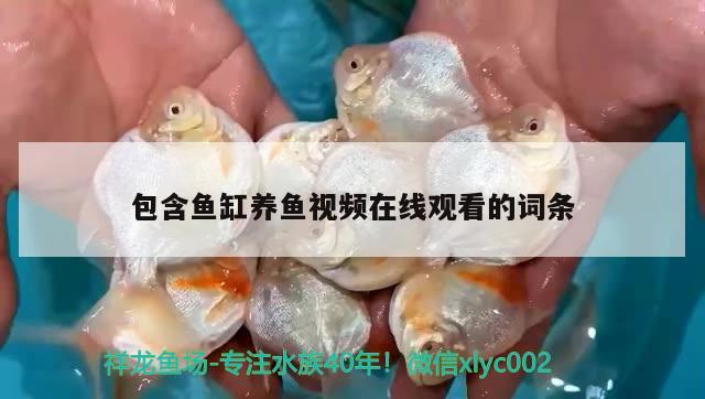 包含魚缸養(yǎng)魚視頻在線觀看的詞條 iwish愛唯希品牌魚缸 第2張