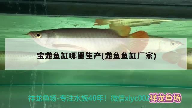 寶龍魚缸哪里生產(chǎn)(龍魚魚缸廠家) 魚缸凈水劑