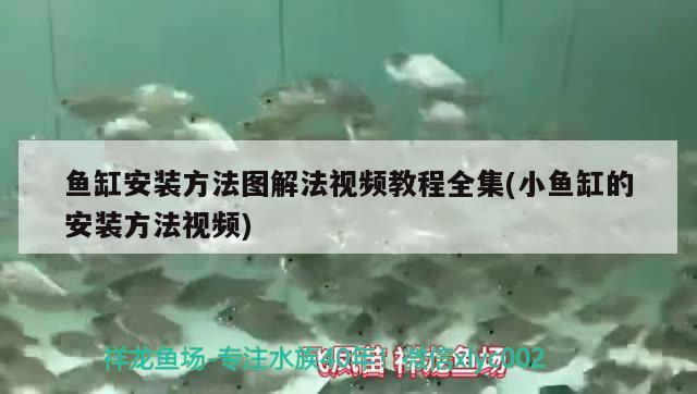 魚缸安裝方法圖解法視頻教程全集(小魚缸的安裝方法視頻)