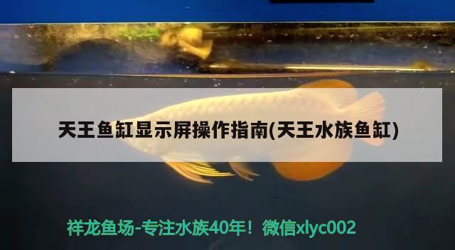 天王魚缸顯示屏操作指南(天王水族魚缸) 廣州水族器材濾材批發(fā)市場