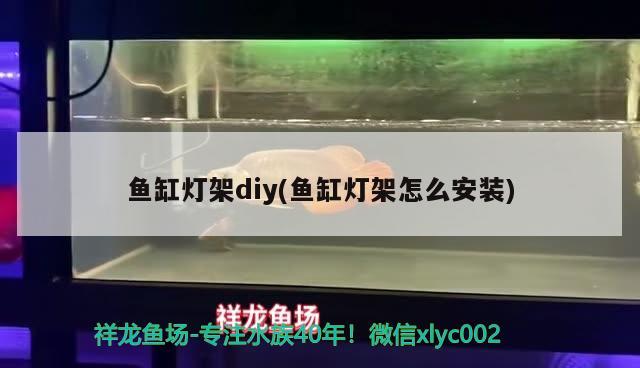 魚缸燈架diy(魚缸燈架怎么安裝) 銀古魚苗