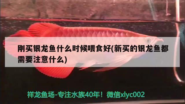 潮州魚(yú)缸定制店鋪地址電話：潮州哪里有賣(mài)魚(yú)缸