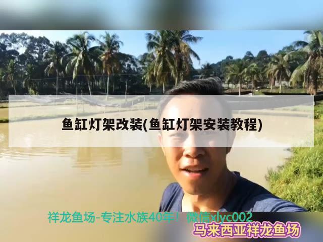 妞哥海洋館勞動最光榮吉林長春小軒的下海折騰史 白子銀龍魚苗 第3張