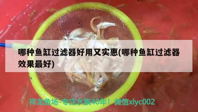 哪種魚缸過濾器好用又實惠(哪種魚缸過濾器效果最好) 羅漢魚批發(fā)