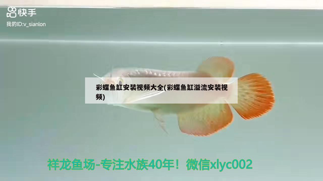 彩蝶魚缸安裝視頻大全(彩蝶魚缸溢流安裝視頻)